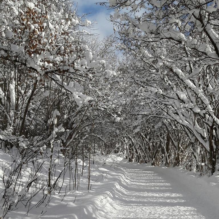 Landhaus Bergmoment - Adults Only Елльмау Екстер'єр фото